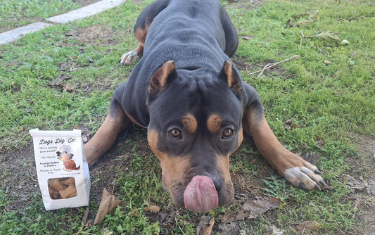 Dog Treats